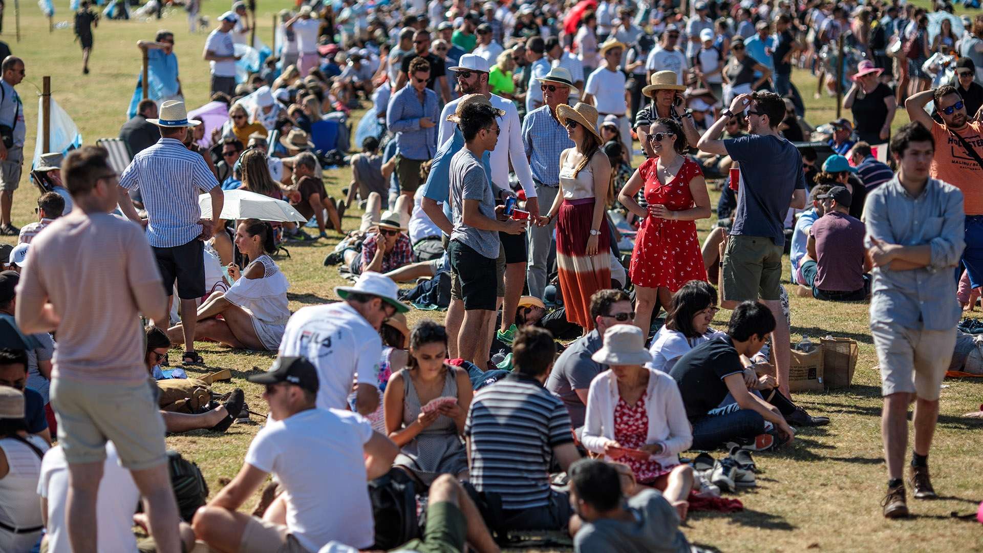 的合法权益 的合法权益